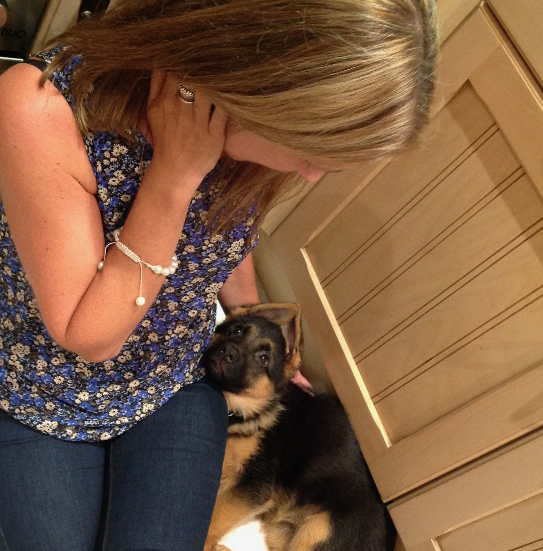 Puppy Training in Saltash and Plymouth.